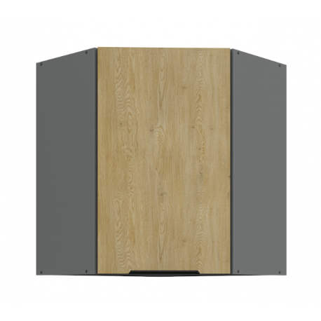  Horná skrinka Cremona 60x60 GN-72 1F (45°) - sivá